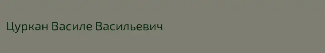 Цуркан Василе Васильевич